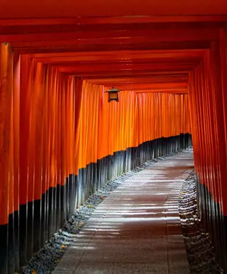 Laufe durch die Torii des Fushimi Inari-Taisha Schrein